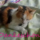 Miau! …oder vielen Dank!!!