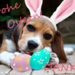 Frohe Ostern & gute Nachrichten ;-)