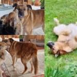 Sarah, jetzt Tammy im Glück