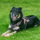 Update zur behinderten Sara…